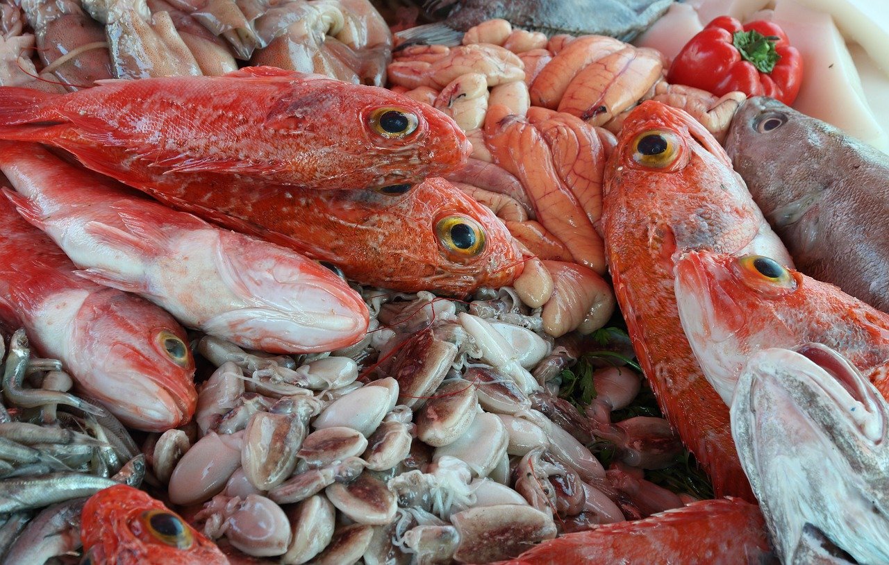 morocco, essaouira, nature-3756112.jpg